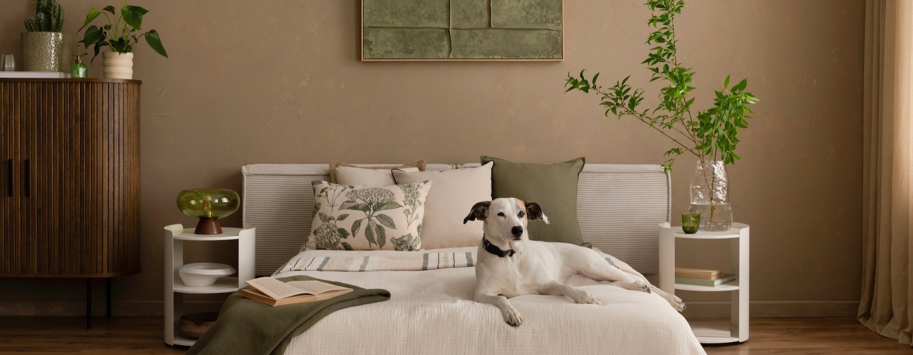 a bedroom with a dog on a bed